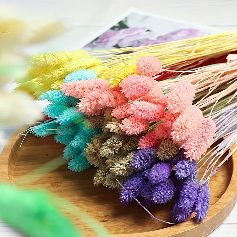Ramillete de flores secas multicolor SOL