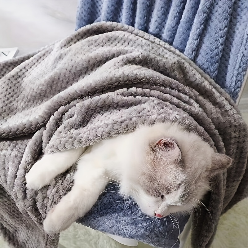 Pet Blanket Cats Dogs Small Blanket Cat Dog Sleeping Pad - Temu Italy