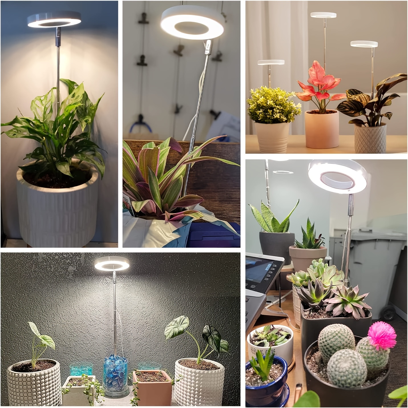 automatic plant light