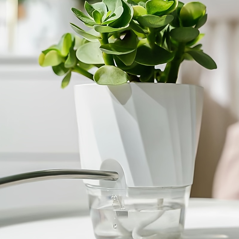 Vaporisateur plantes en verre clouté, transparent Ø 9,3 x H. 20 cm