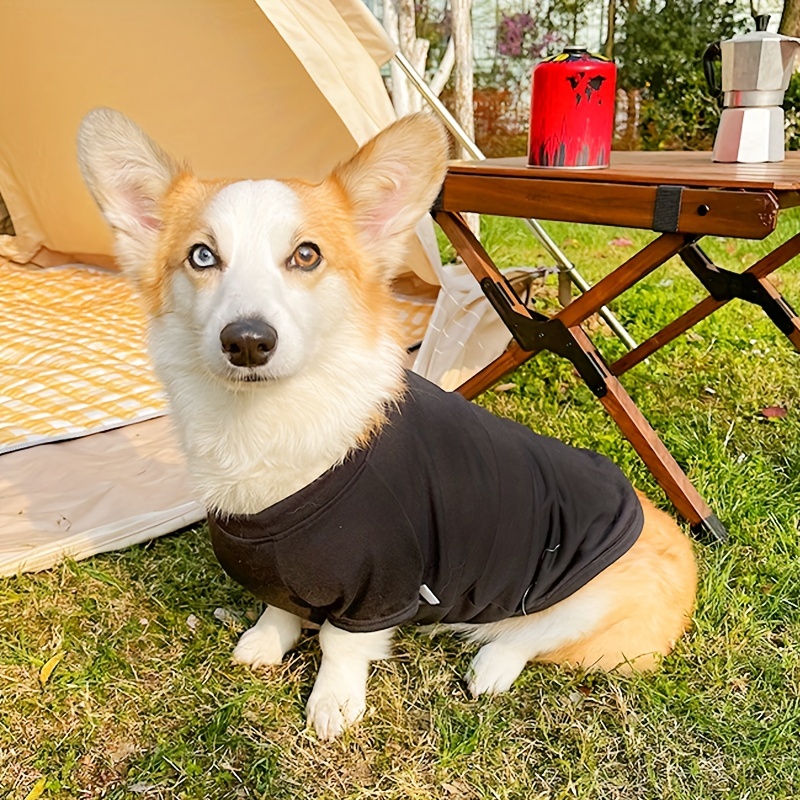 Corgi apparel sales