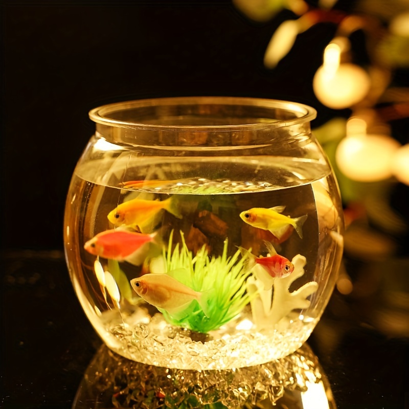 Fish Bowl - Temu