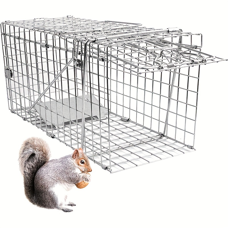  Humane - Trampa para gatos de captura y liberación de animales  vivos para mapaches, marmotas, trampas para ardillas de ratón, acero de 24  pulgadas para exteriores, kit de trampa para animales