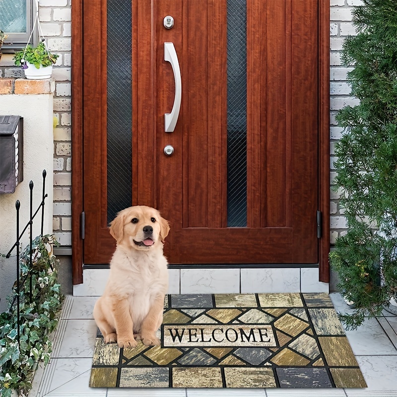 Tapis de cuisine, d'entrée, d'intérieur, pour chien, de porte d'entrée, de  bain, pour cuisine, extérieur, Chien 60cmx180cm
