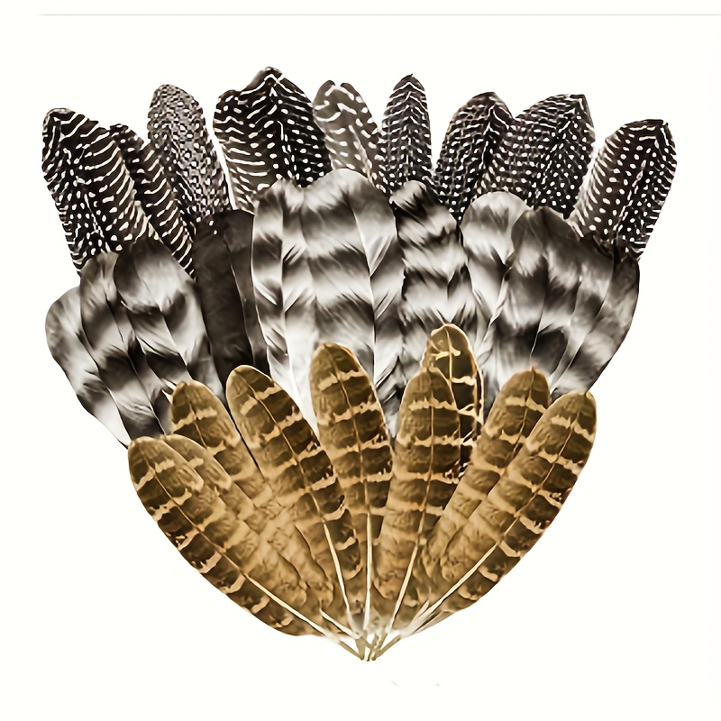 40pcs Natural Pheasant Feathers, Spotted Feathers, Turkey