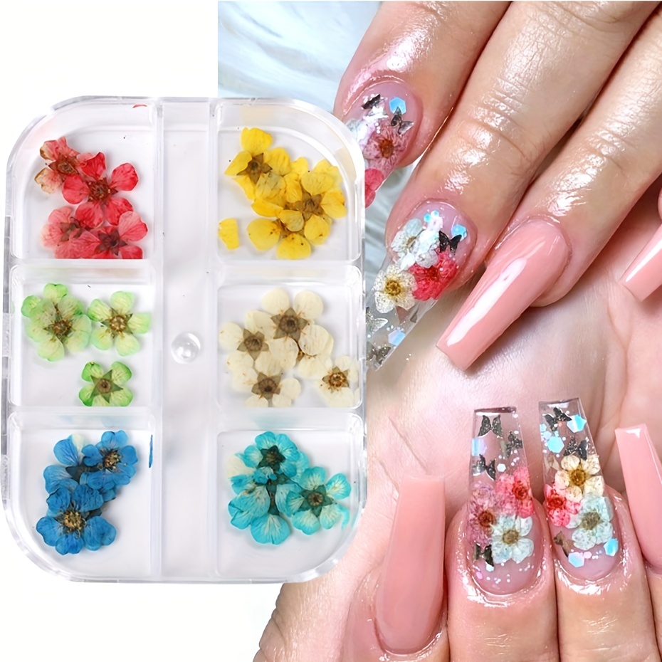 3D Dried Flowers Nail Art Accessory Charms Natural Floral Stickers Nails  DIY