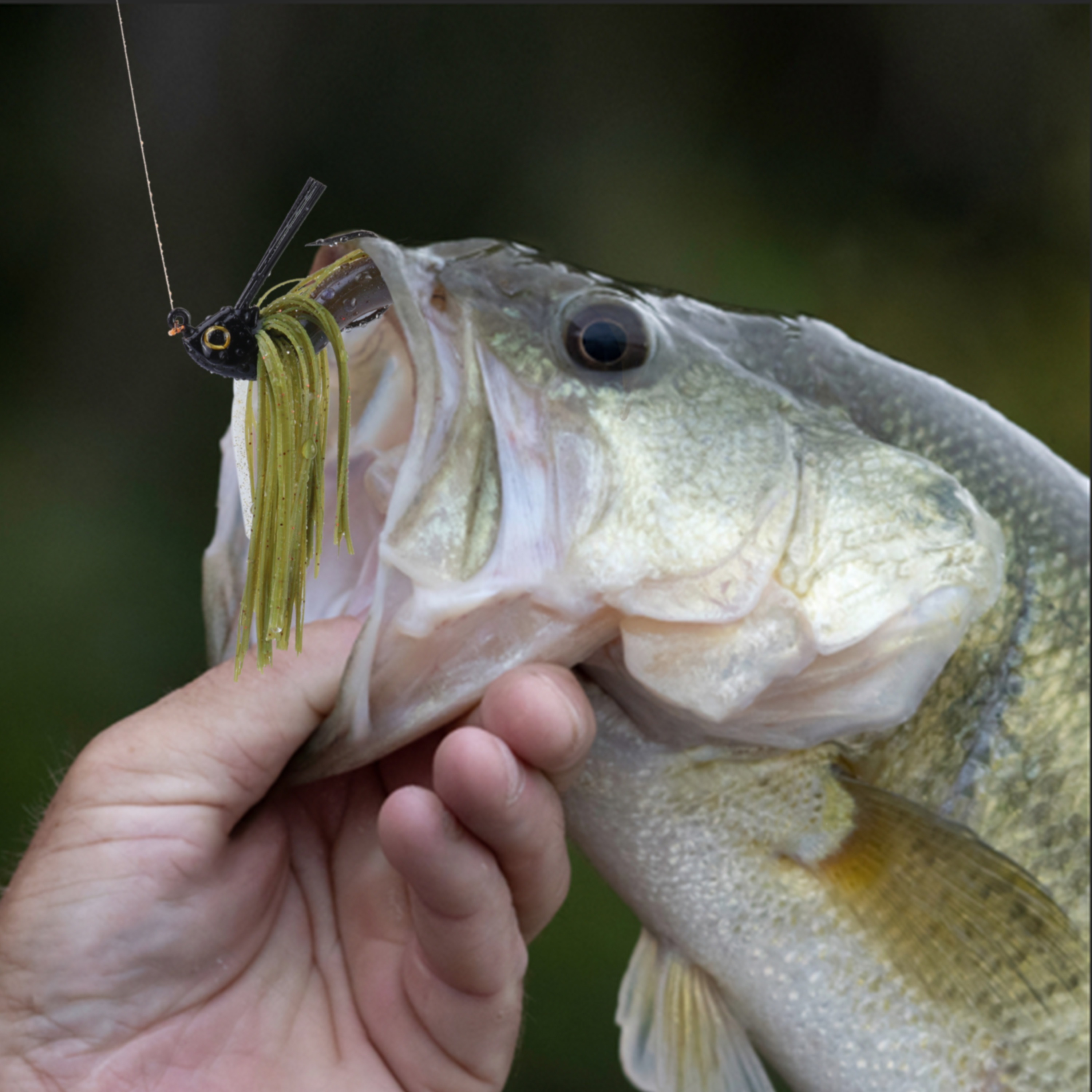 4pcs Fishing Lures Swim Jigs Bass Fishing Jigs 1 - Temu
