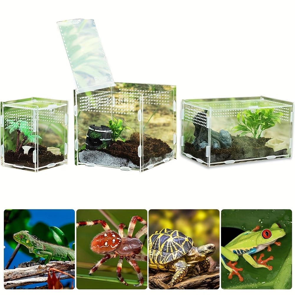 Insect Catcher Lizard Transparent Feeding Cleaning Dual use - Temu