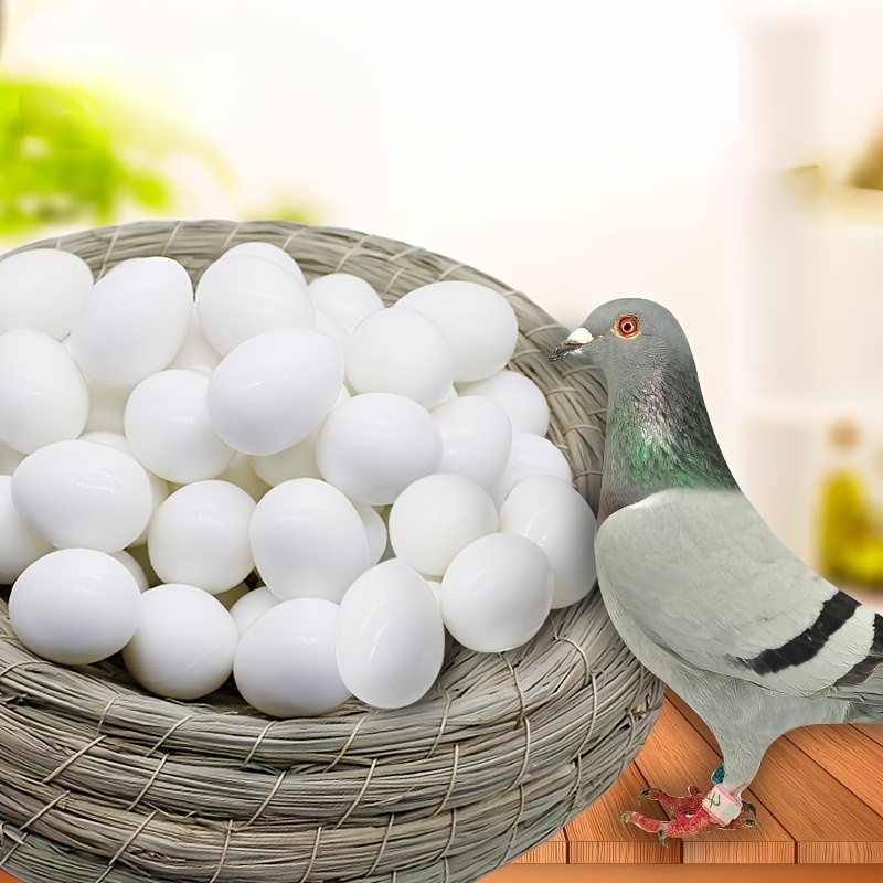 Huevos de plastico palomas