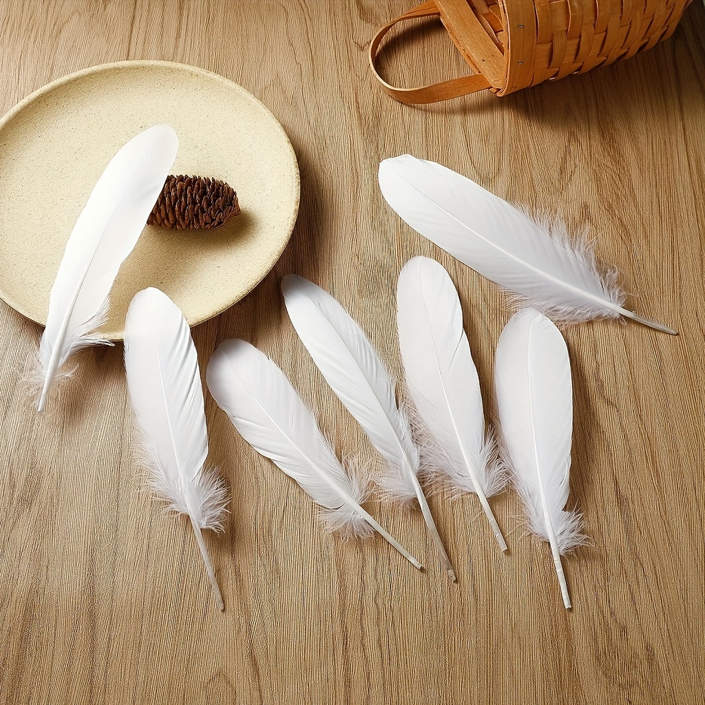 Natural Feather Crafts, 200 Pcs White Feathers Crafts Feathers Decorations  Feathers, Natural Goose Feathers for DIY Handmade Crafts Gift Box Filling  Ornament Decoration, White : : Home & Kitchen
