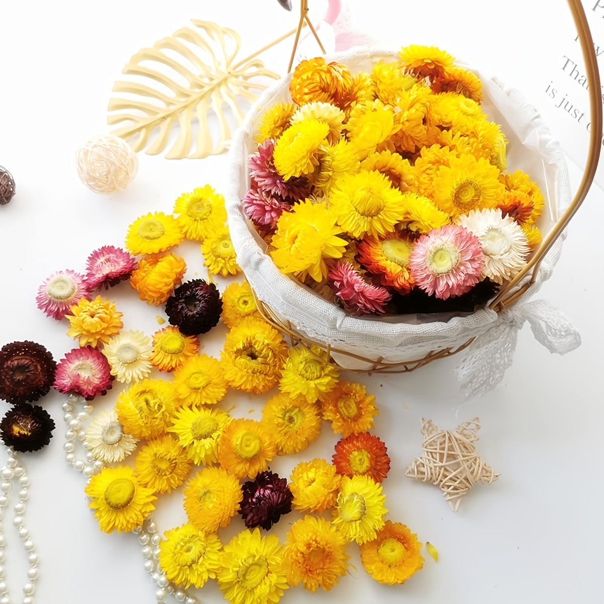 Dried Pressed Flowers Natural Dried Flowers Handmade - Temu