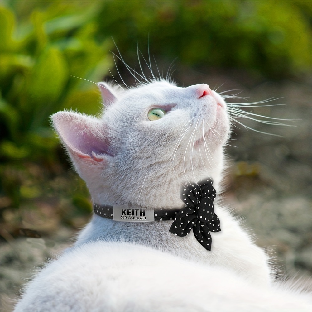 Girl cat outlet collars