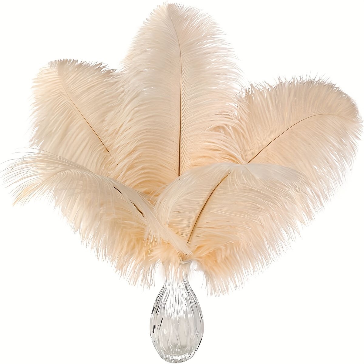 Natural Ostrich Feathers / For Diy Halloween Decorations - Temu