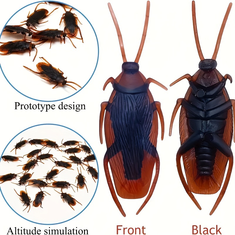 5 Piezas, Divertida Cucaracha Simulada Falsa, Novedad Cucarachas Insectos  Realistas Simulación De Broma Complicado Asqueroso Juguete De Parodia  Aterradora, Regalos De Fiesta, Regalos De Vacaciones, Suministros De Fiesta  De Halloween