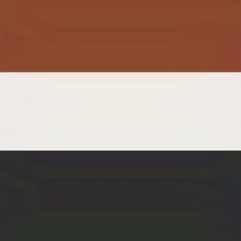 Crocodile Embossed Triple O Ring Buckle Belt Set