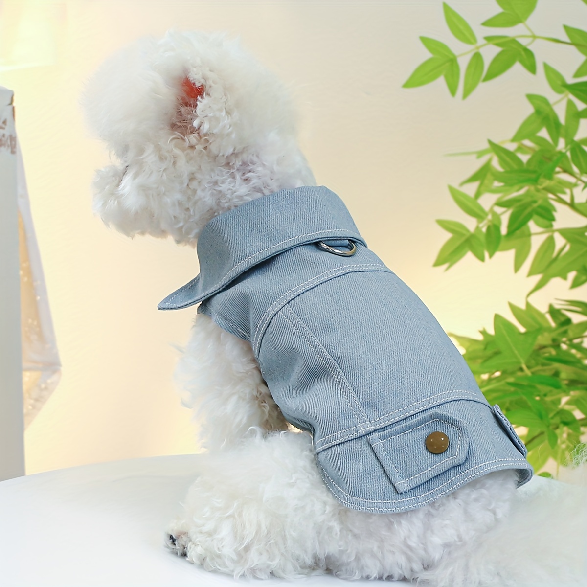 Small dog denim sales jacket