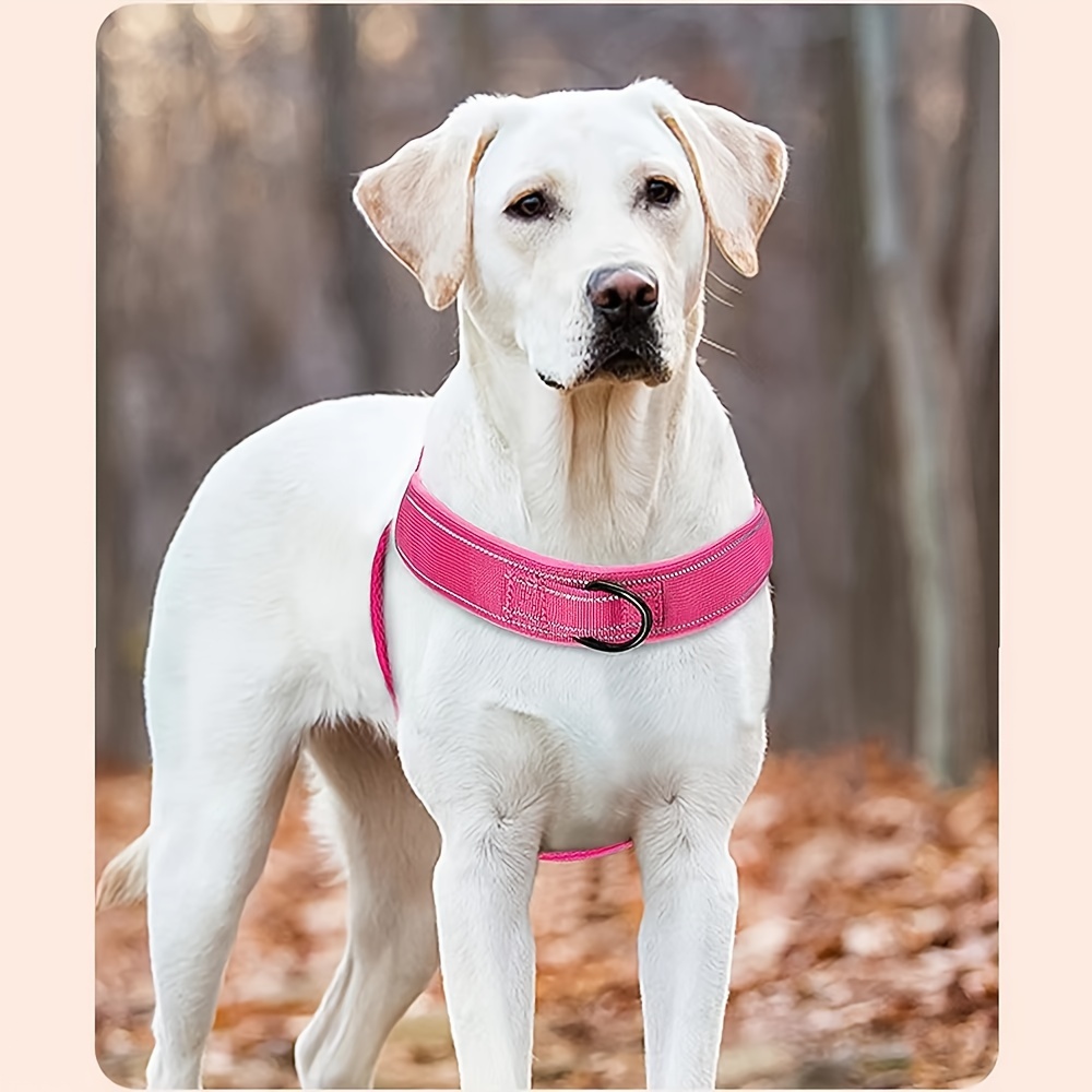 Losy sales pet harness