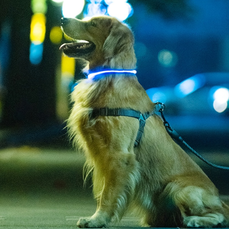 Collares de perro con luces LED recargables que brillan en la oscuridad,  collar de perro con luces intermitentes para caminar por la noche (azul