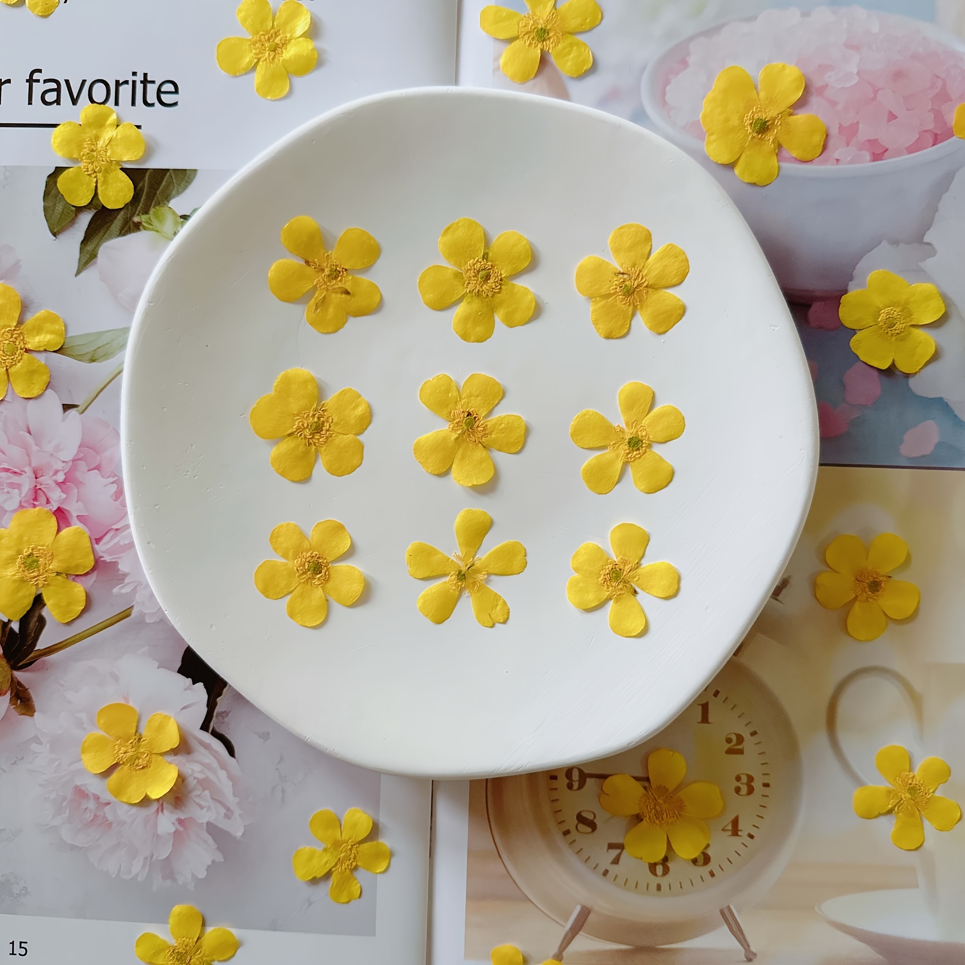 100pcs Mini Flores De Colorido Natural DIY Flores Secas - Temu