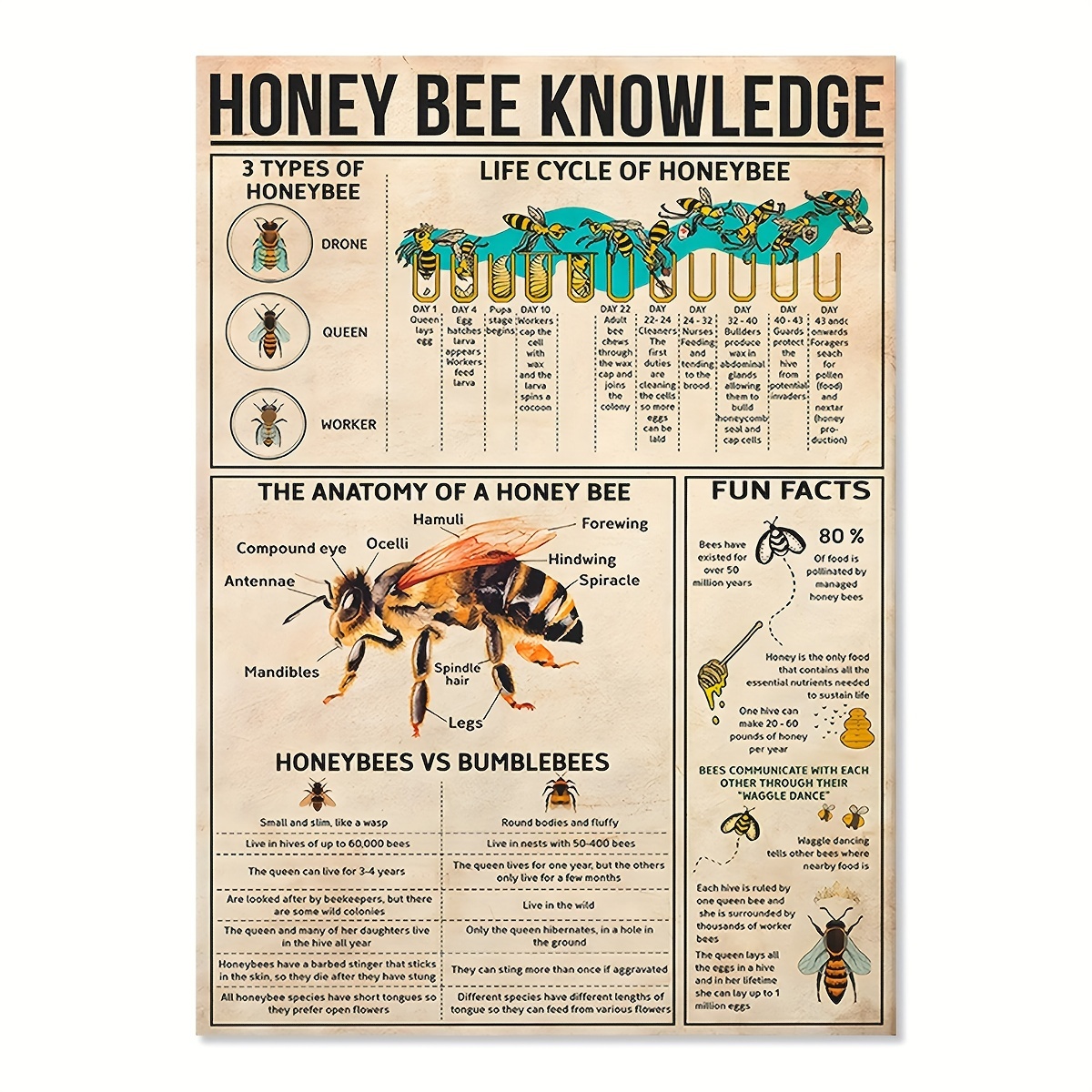 Vintage Bumble Bee Art Print. Farmhouse Decor. Farmhouse Wall Decor.  Farmhouse Art. Kitchen Art. Dining. Gift. Beekeeping Print. Bee Print