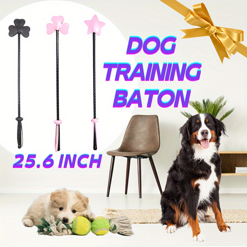 Silbatos De Entrenamiento Para Perros, Antiladridos, Silbato Para  Cachorros, Herramienta De Entrenamiento Silencioso Para Perros, Productos  Para Mascotas, Suministros Con Correa De Cordón De 1,29 €