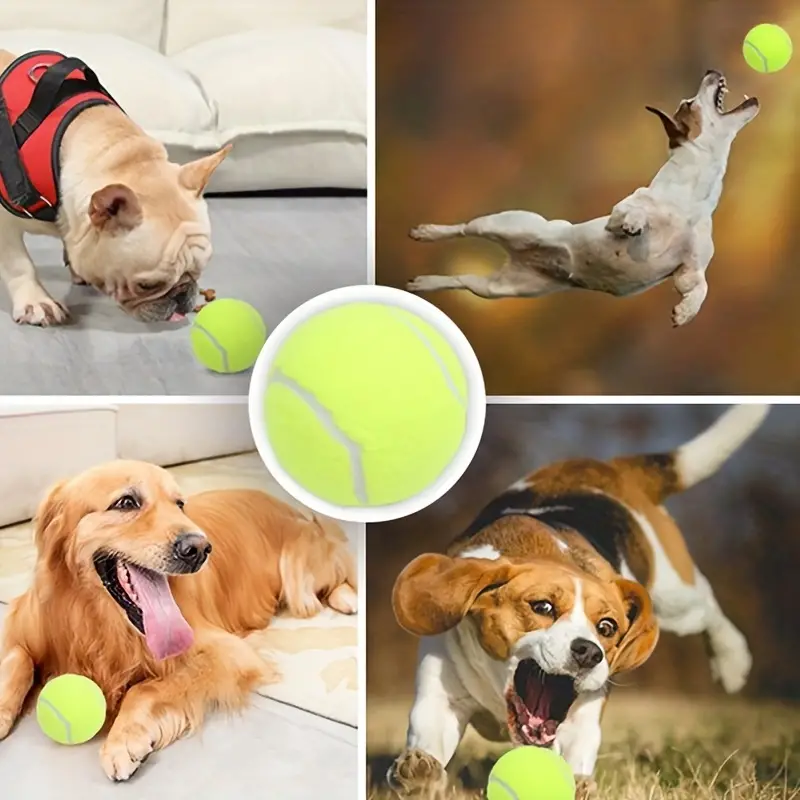 1/3 個テニスボール犬噛むゴムおもちゃ、犬のためのインタラクティブ弾性ボールおもちゃインタラクティブトレーニング用品 - ペット用品 - Temu  Japan