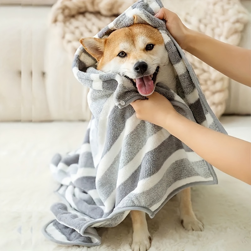 Albornoz Perros Súper Absorbente Calidez Invernal Secado - Temu Mexico