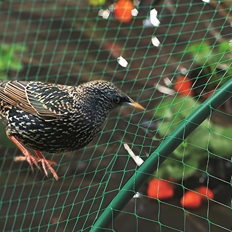 Bird Netting Nylon - Temu
