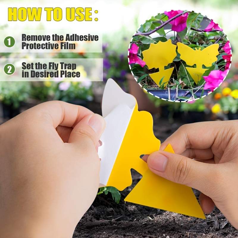 20Pcs Sticky Fly Trap Paper Yellow Traps Fruit Flies Insect Glue Catcher  USA