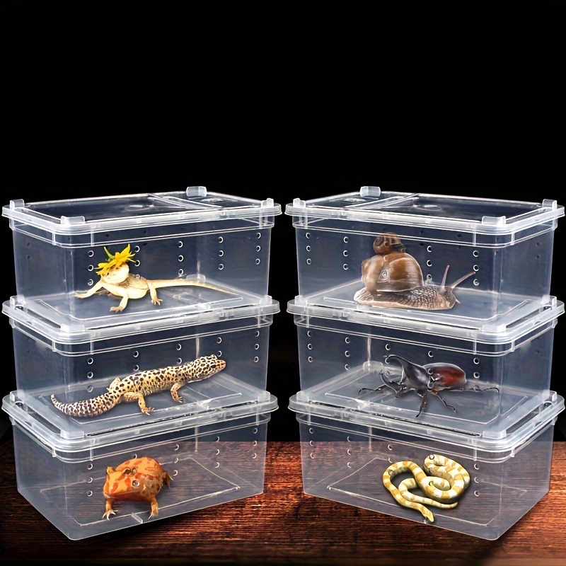 Spider Terrarium Acrylic Reptile Breeding Box Jumping Spider - Temu