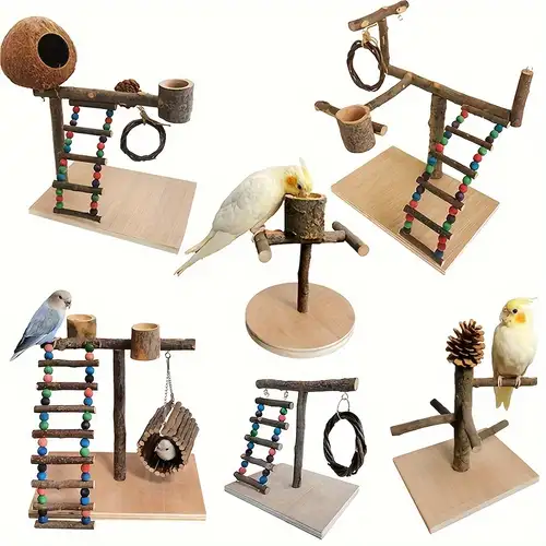 Entraînement d'oiseaux en bois jeu d'alimentation balançoire