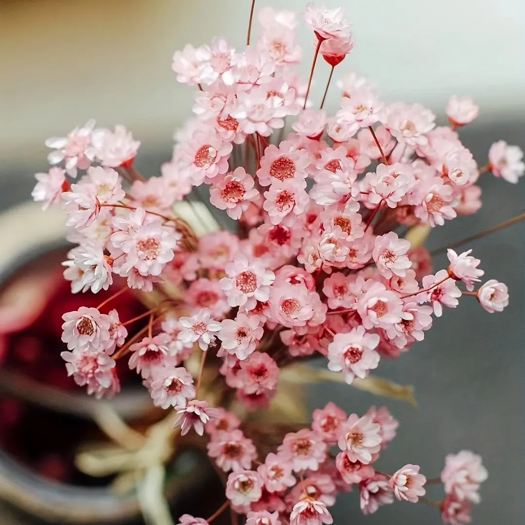 cherry blossoms(ドライフラワー＆押し花アート) - 2
