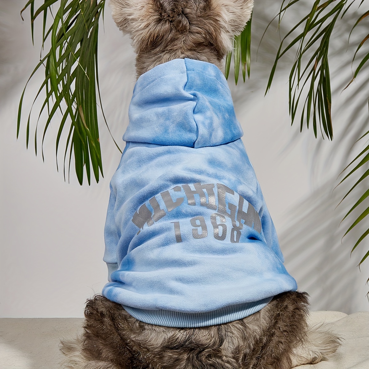 Moschino cheap dog hoodie