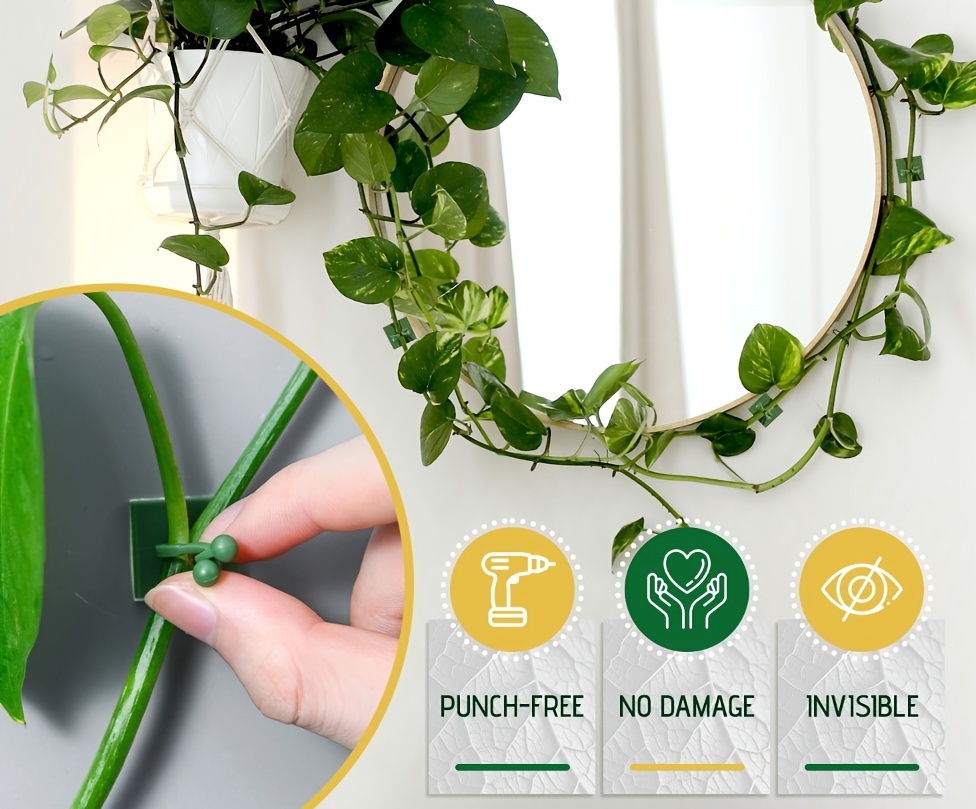 Wall Plant Clips Climbing Plants Green Vine Plant Support - Temu