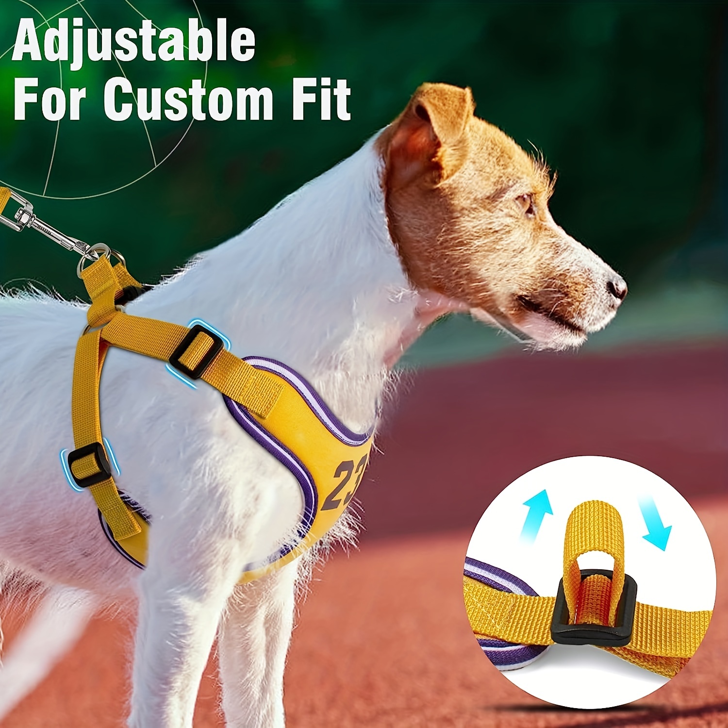 Leash Set - Dog Vest Harness for Small Dogs Medium Dogs- Adjustable  Reflective Step in Harness - M