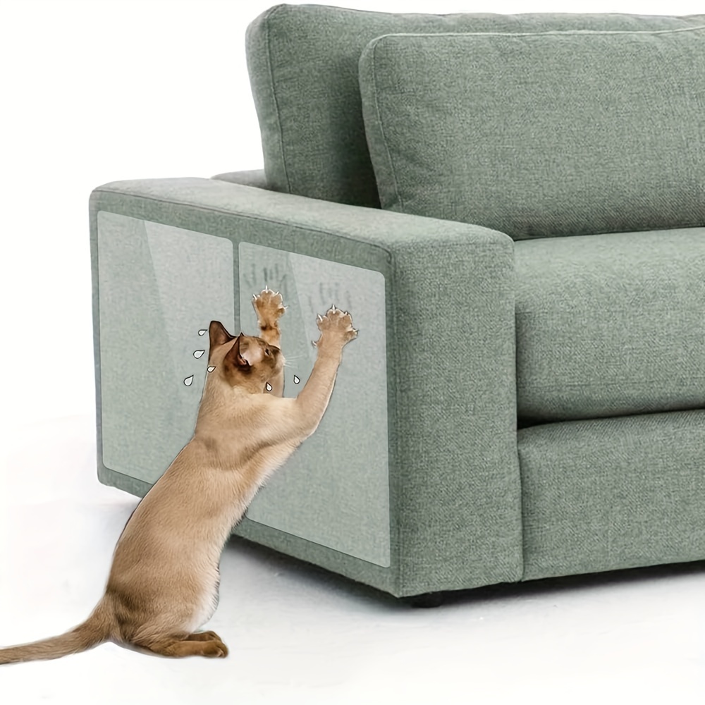 Stopping cats clearance scratching sofa