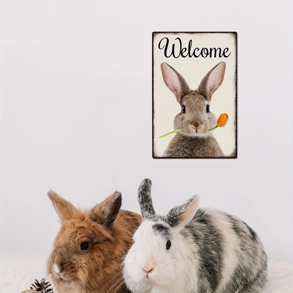 Plaque En Métal Avec Lapin Blanc - Décoration Murale Vintage