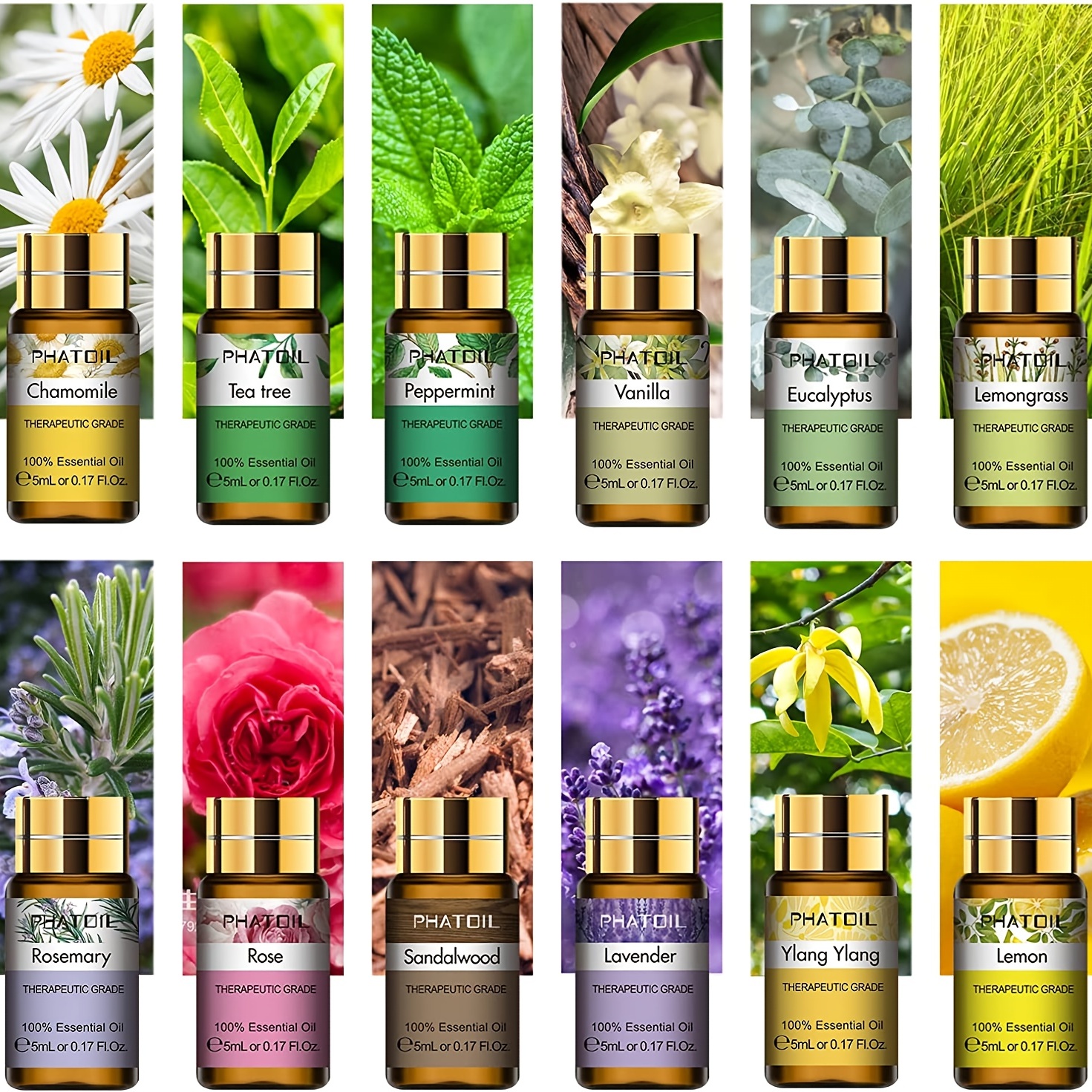 SALKING Spring Fragrance Oils Set, Premium Essential Oils Gift Set