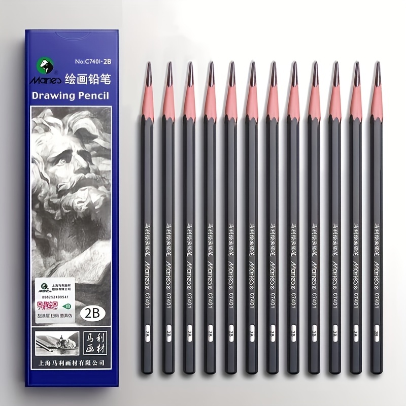 Professional Drawing Sketching Pencil Set - 12pcs Sketch Pencils (B & 2B),  Artist Drawing Pencils Kit For Sketching,Shading & Blending, Art Supplies F