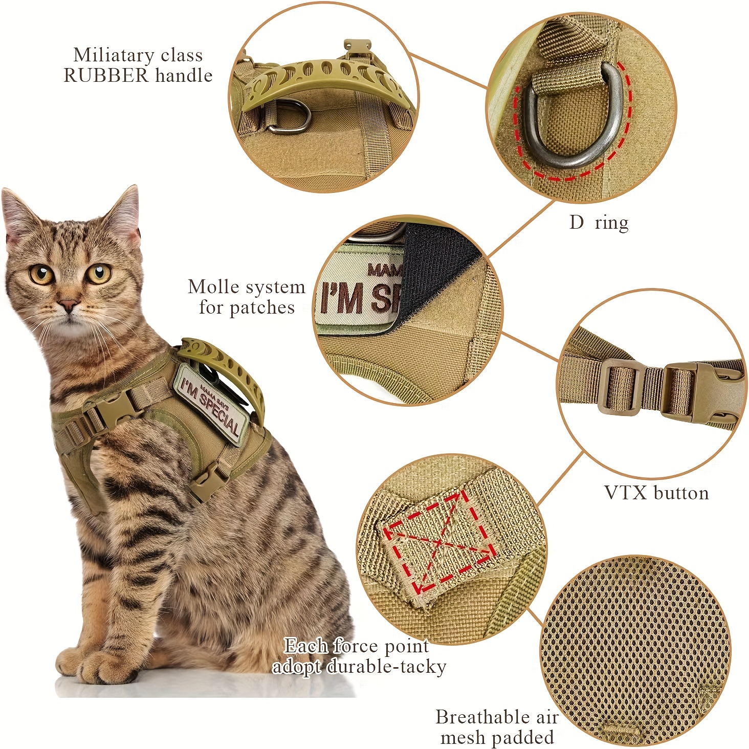 Cat Harness & Leash Set - Cash Cat Limited Edition — Cat Culture