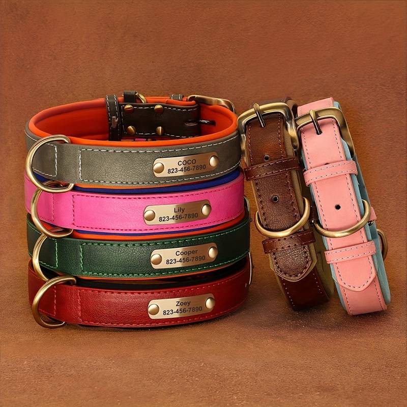 Large Dog Collars Customized Pet Collars Dogs Featuring