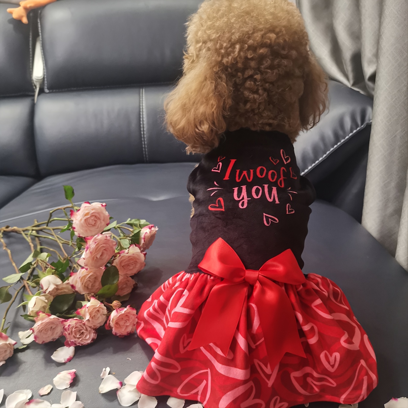 Dog Valentine Clothes - Temu