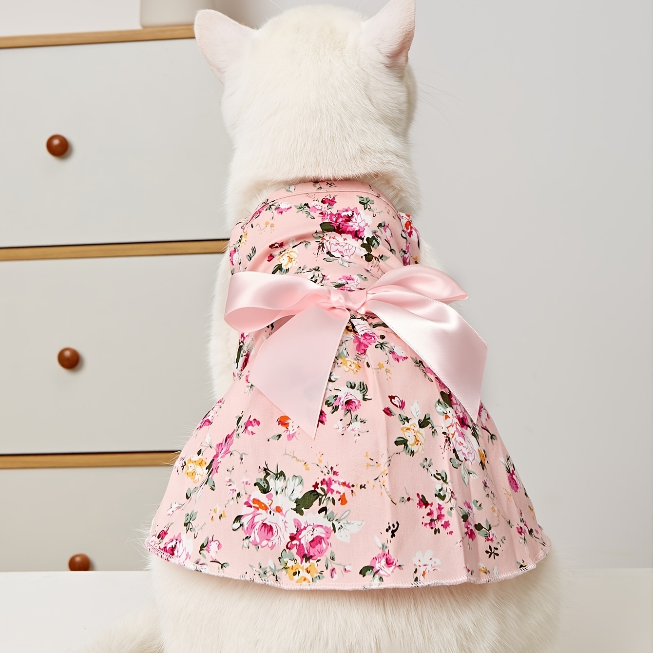 Cat Dress - Temu Canada