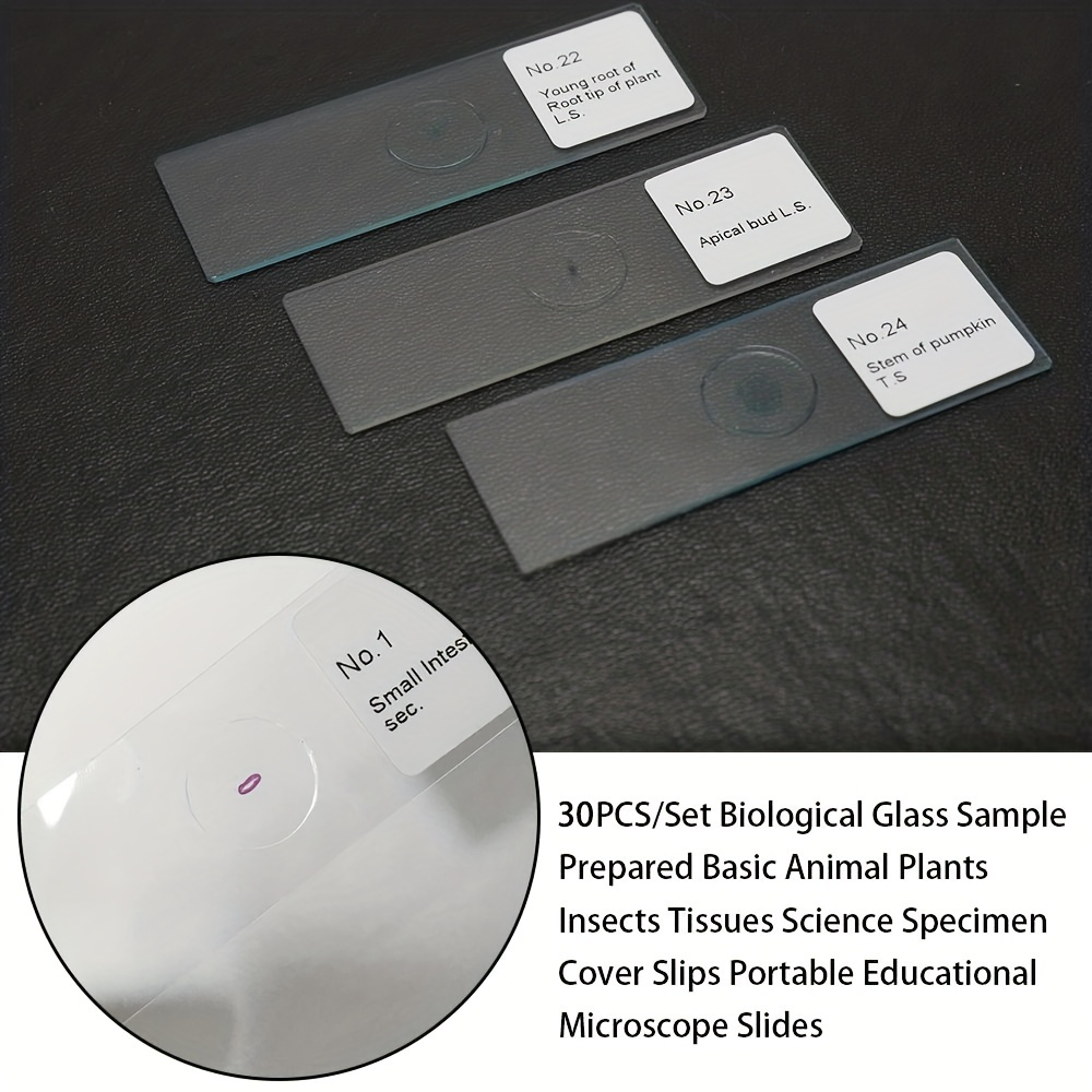 30pcs Biological Glass Sample Prepared Basic Science Specimen Set