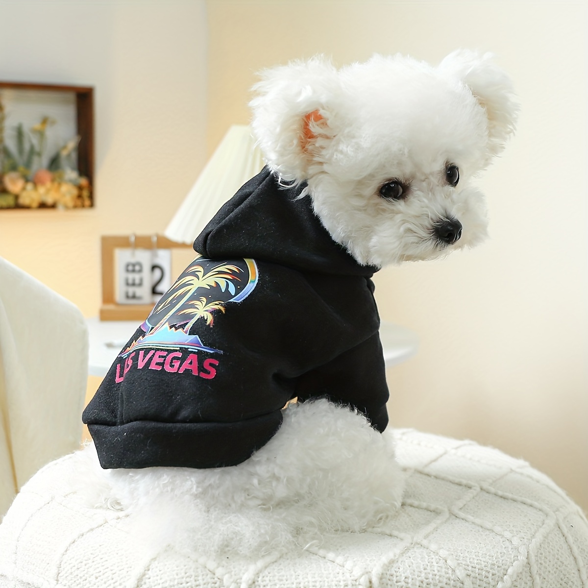 las Vegas Beach Graphic Pet Sweater For Autumn And Winter Dog Warm Clothes  - Temu Ireland
