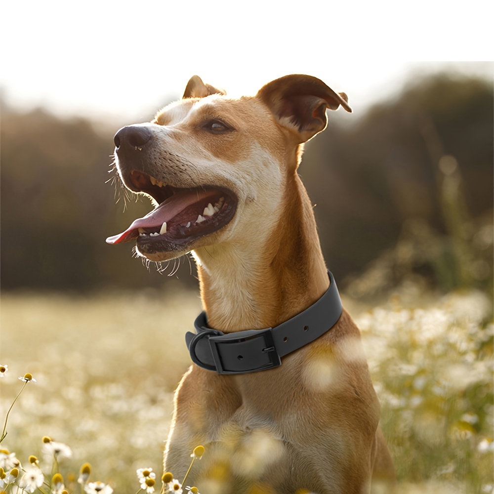  Collar de perro para perros pequeños, medianos y