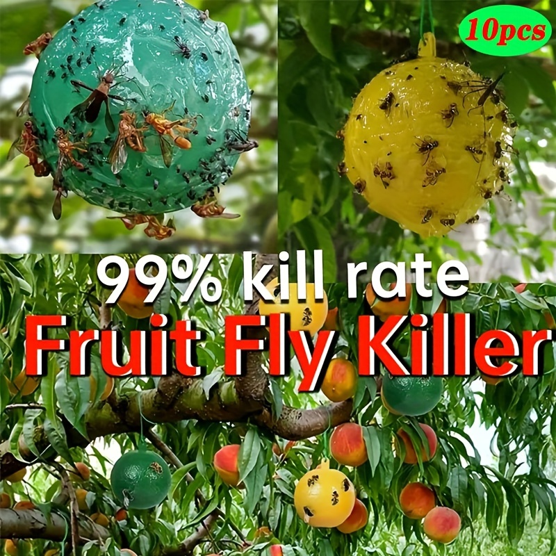 Dropship 1pc Sticky Traps Balls; Houseplant Sticky Bug Traps Capturing  Fruit Flies; Mosquitoes Other Flying Insects; Cute Ball Design; Sticky  Fruit Fly Traps For Indoor/Outdoor/Fields And Gardens to Sell Online at a