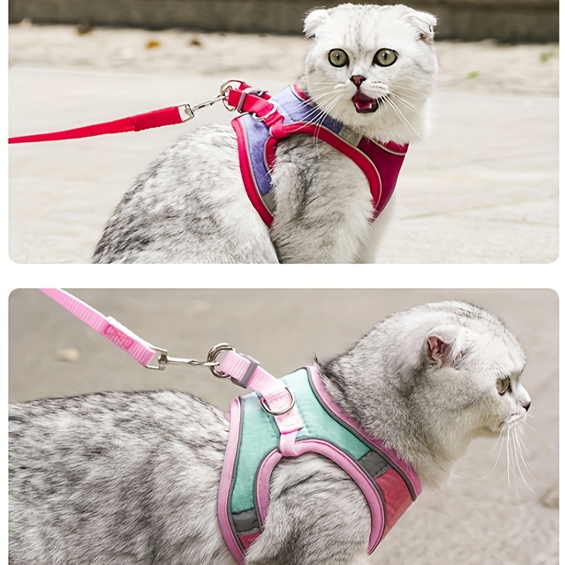 Demigreat Arnés para gatos – Arnés ajustable a prueba de escapes para  gatitos con tira reflectante, para caminar al aire libre, fácil control y  malla