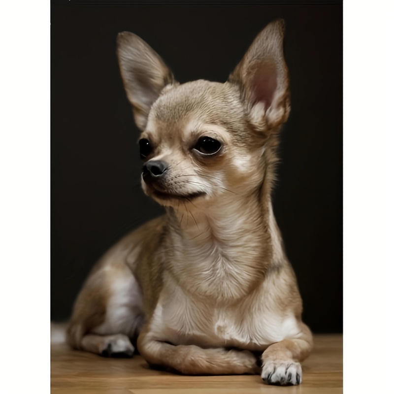 Chihuahua Dog Diamond Painting Kits For Adults 5d Diamond - Temu