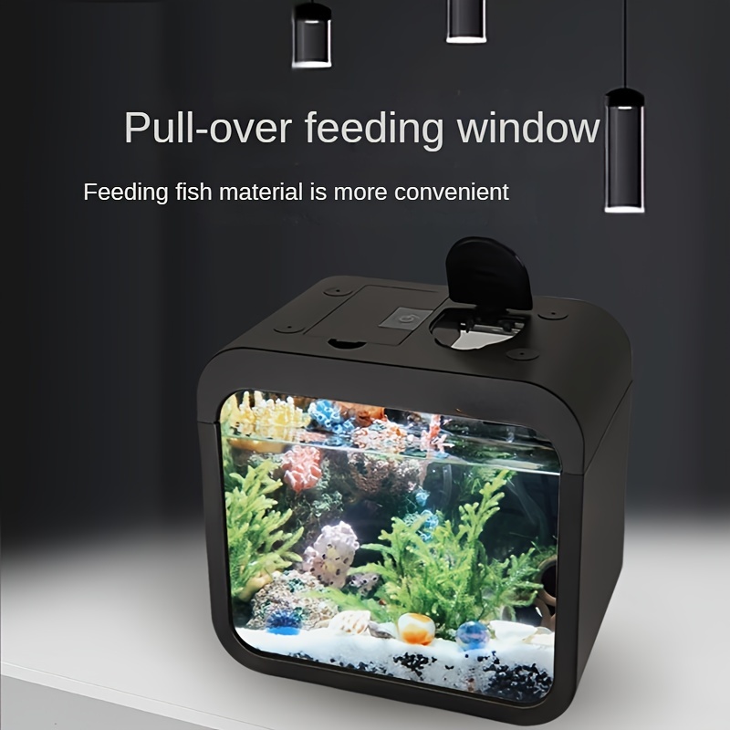 Desktop Transparent Acrylic Fish Tank Small Mini Plastic - Temu Canada